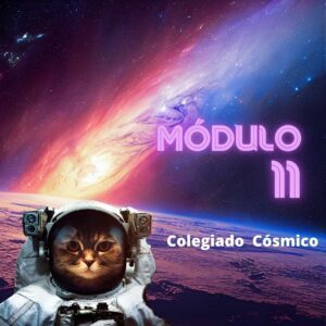 Colegiado Cósmico - MÓDULO 11 - 2025